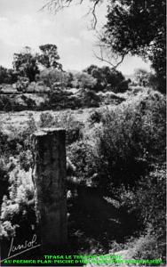 TIPASA LE THEATRE ANTIQUE AU PREMIER PLAN PISCINE D UNE HABITATION PARTICULIERE